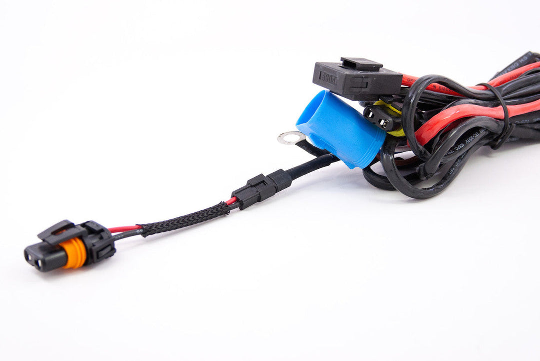 Adapter: Molex/ 9006 (Single)-1