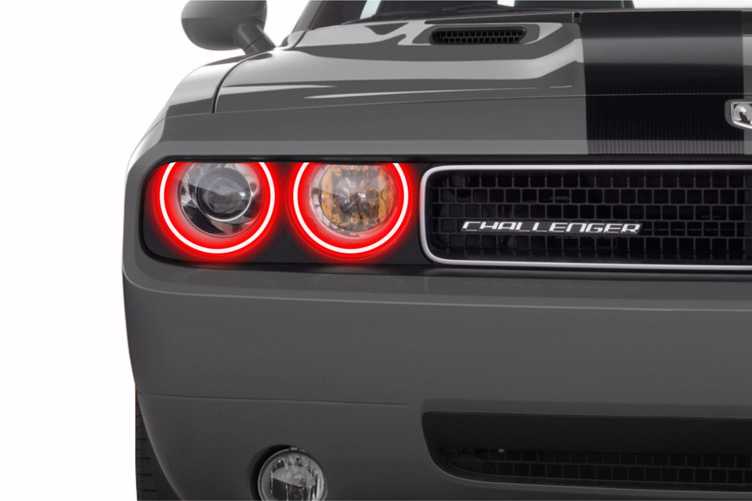 Dodge Challenger w/ OEM HID (08-14): Profile Prism Fitted Halos (Kit)-EDC01085-1