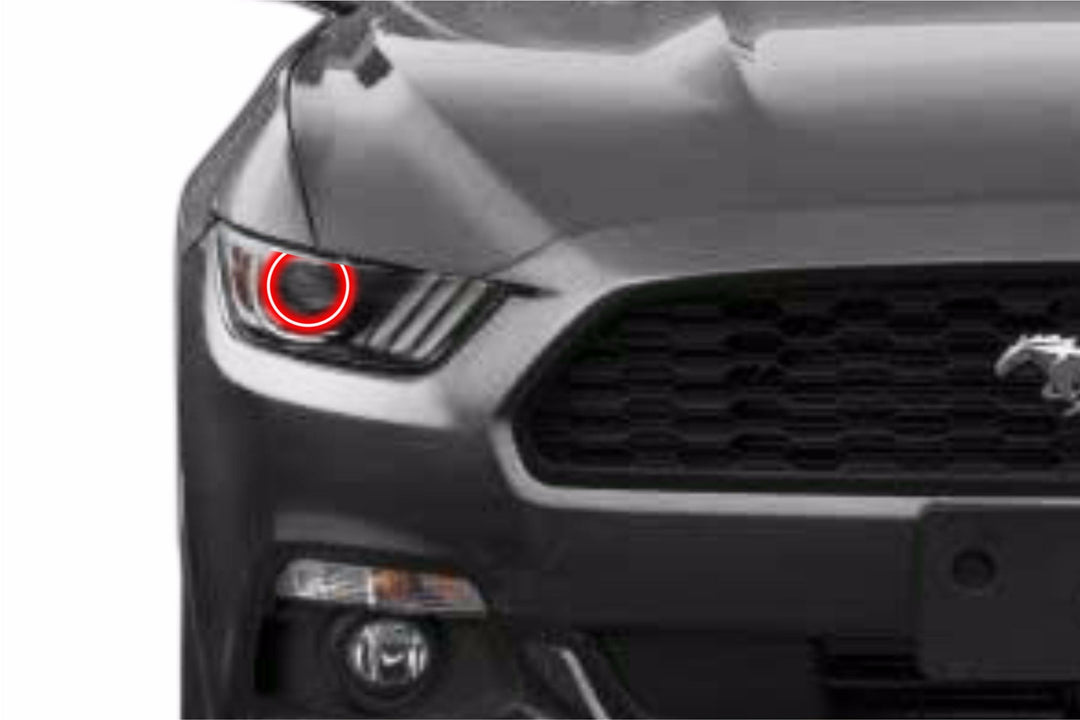 Ford Mustang (15-17): Profile Prism Fitted Halos (Kit)-EDC01132-1