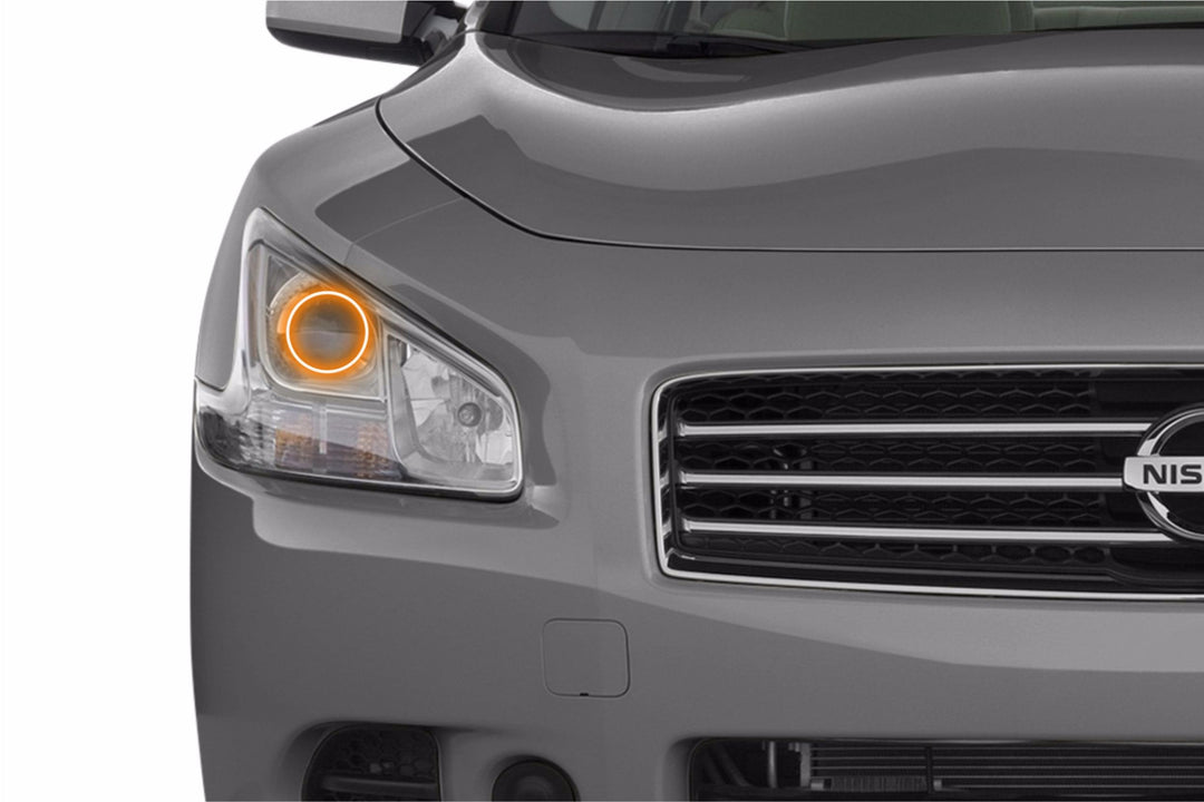 Nissan Maxima (09-14): Profile Prism Fitted Halos (Kit)-EDC01239-1