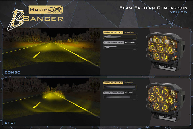 Raptor (17-20): Morimoto BigBanger LED Ditch Light System-8